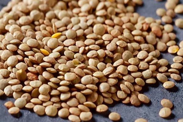 Image result for đậu lăng, lentil